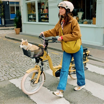 L'Incroyable, Le Court - Nu