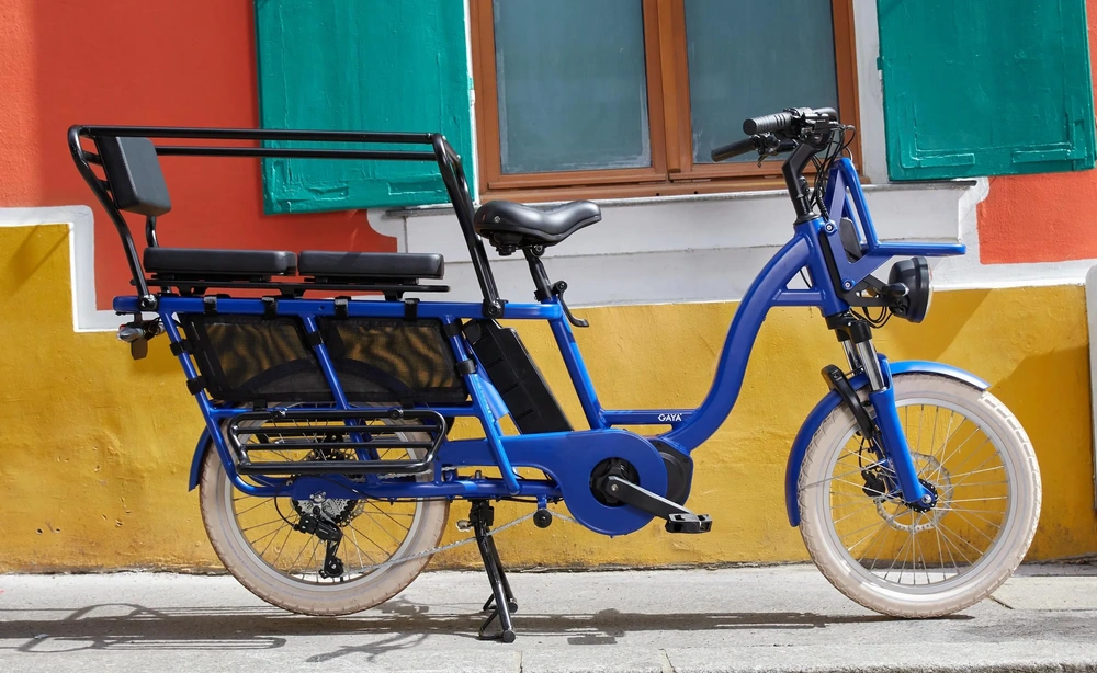 Comment transporter son chat à vélo en toute sécurité ?
